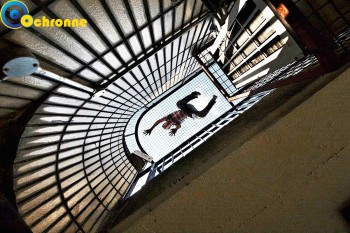  Siatki na schody wykonane są z polipropylenu, który posiada dużo pozytywnych cech. 